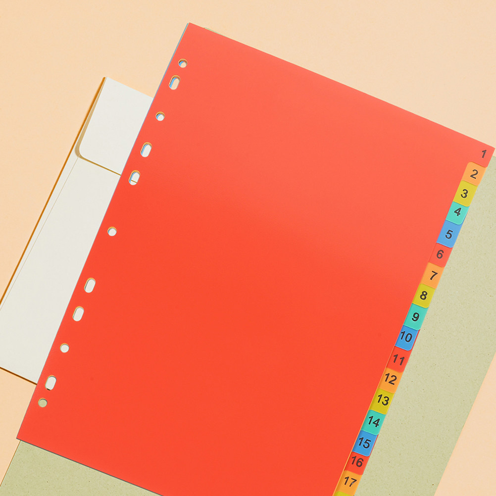 2 Set Pembatas Indeks Plastik  - Tab Divider A4 ulasan dan harga