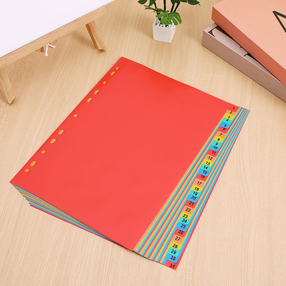 2 Set Pembatas Indeks A4 Plast - Tab Divider A4 ulasan dan harga